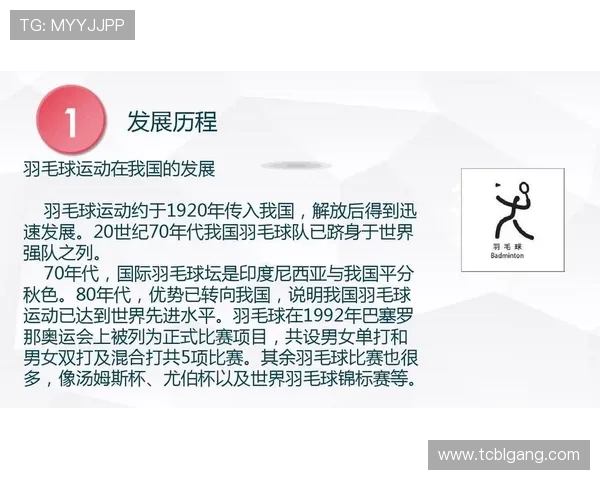 与羽毛球女将周丽的深度对话回顾她的辉煌运动生涯与未来展望