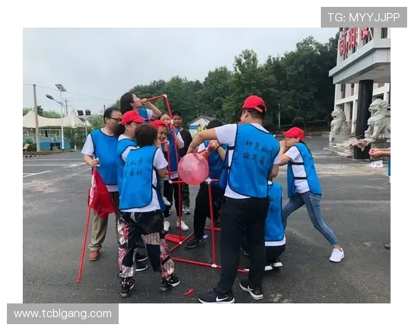 上海羽毛球队在杯赛中的团队协作表现分析与启示