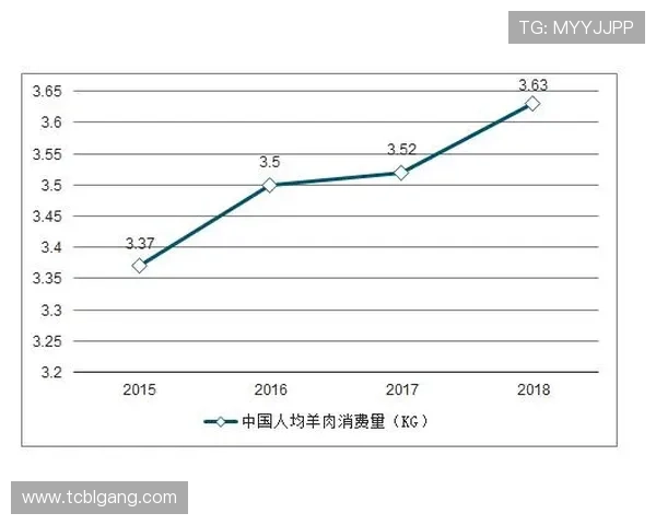 成都篮球队在钻石联赛中的耐力表现分析与未来展望 成都篮球队在钻石联赛中的耐力表现分析与未来展望