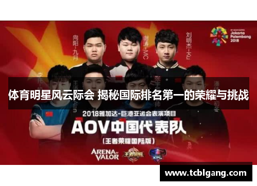 体育明星风云际会 揭秘国际排名第一的荣耀与挑战